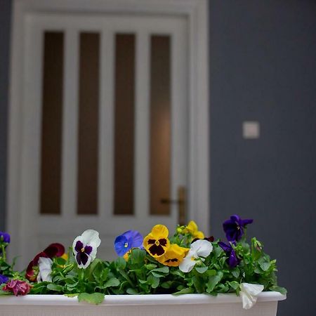 Apartmani Sunset Rogotin Zewnętrze zdjęcie